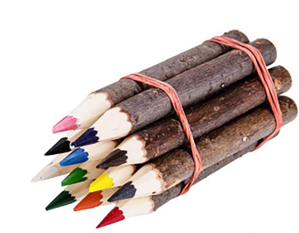 Ast Holz Buntstifte, 12er Set, zum malen, ausmalen, Schulanfangsgeschenk, für dem Kinderschreibtisch, Naturprodukt, wie gewachsen
