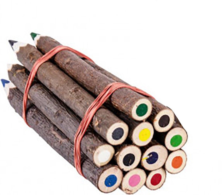 Ast Holz Buntstifte, 12er Set, zum malen, ausmalen, Schulanfangsgeschenk, für dem Kinderschreibtisch, Naturprodukt, wie gewachsen