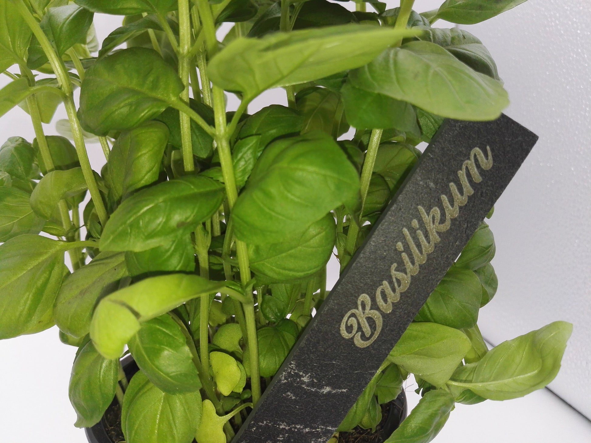 Kräuterstecker, Gemüsestecker, Gartenbeet, Gemüsebeet, Kräutertopf, Frühling, Garten, mit Wunschkräutern, aus Schiefer, unverwüstlich