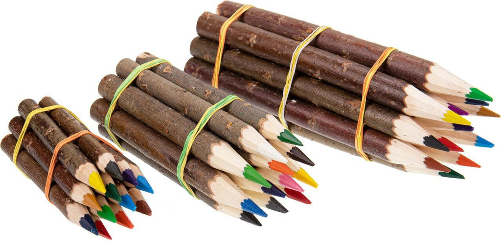 Ast Holz Buntstifte, 12er Set, zum malen, ausmalen, Schulanfangsgeschenk, für dem Kinderschreibtisch, Naturprodukt, wie gewachsen