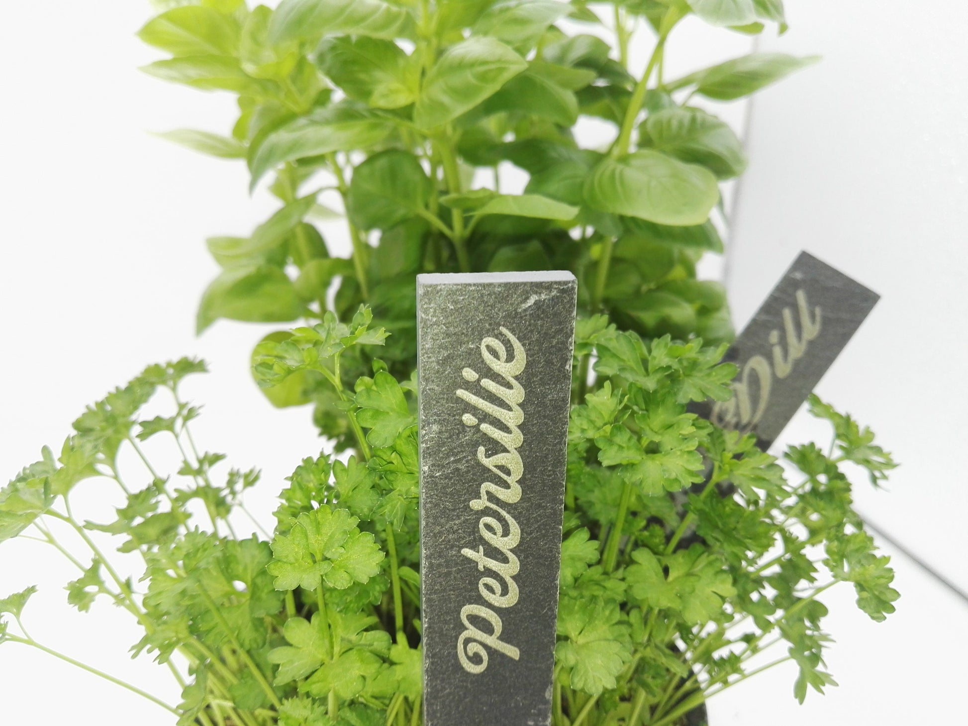 Kräuterstecker, Gemüsestecker, Gartenbeet, Gemüsebeet, Kräutertopf, Frühling, Garten, mit Wunschkräutern, aus Schiefer, unverwüstlich